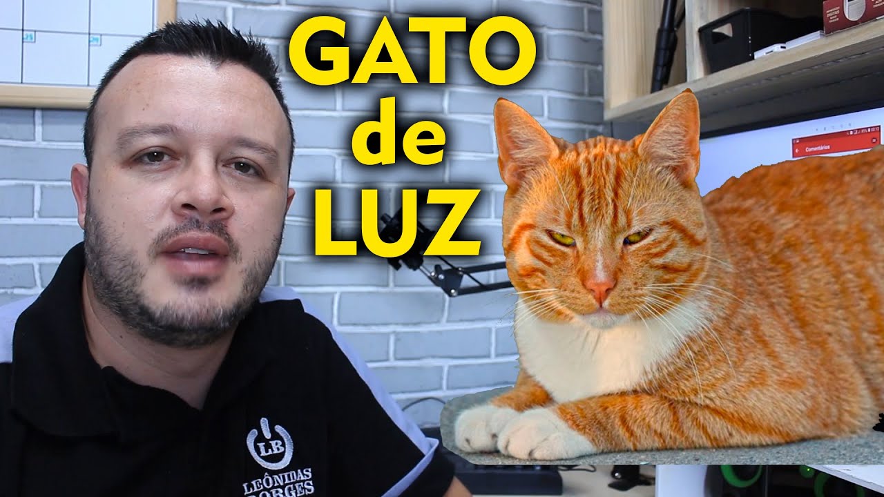 Eletricista Faz Gato de Luz? Muita Gente Ainda Pergunta Como Fazer Gato ou Seja Ligação Eletricista Faz Gato de Luz? Muita Gente Ainda Pergunta Como Fazer Gato ou Seja Ligação