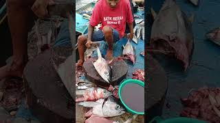 Good job, this skilled young man acted quickly to cut tuna on the beach.#fish #fishcutting #seafood