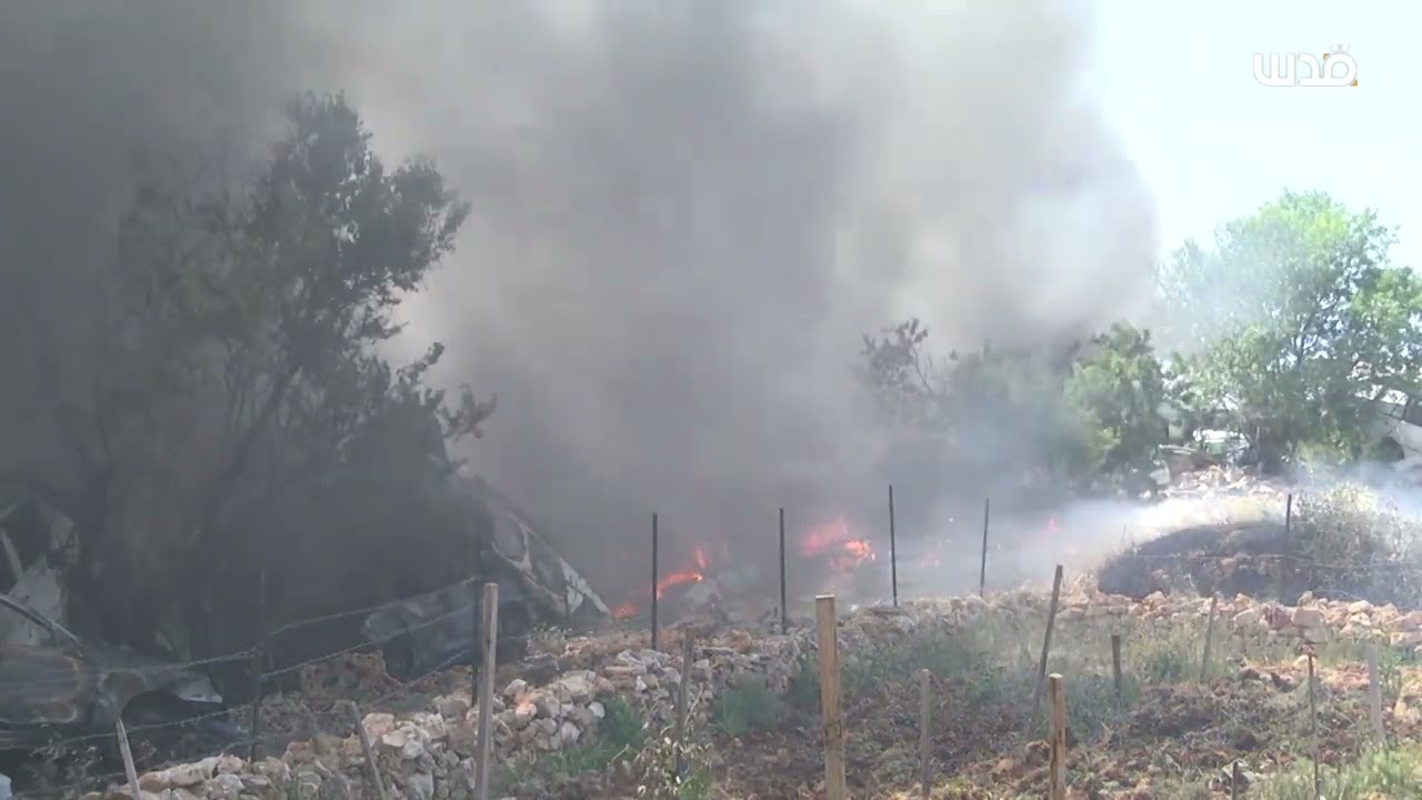 تغطية صحفية: 