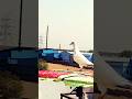 punjabi malwai kabootar #shorts #ytshorts #youtubeshorts #pigeon #kabootarbazi