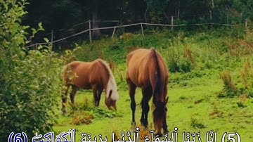 المُقرئ مـبٓاركـي عبد الإلٰه سورة الصافات 🎧😴