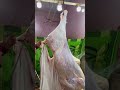 اسرع جزار رفع عجل بقره في الونش استخراج جلد من داخل ضهري العجل بكل سهوله حصريا كيفيه اقوي نقش