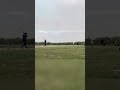 Cricket shots  wait for end