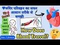 Up board, Class - 7, Science, Lesson - 9, जंतुओं एवं पौधों में परिवहन (हृदय की कार्यविधि)