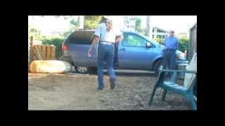 Clicker Training Horses  - Trailer loading