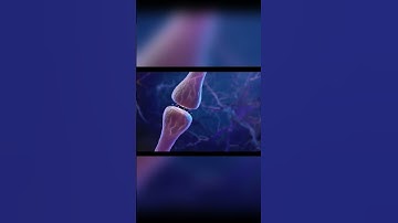 Unlocking the Secrets of Neuronal Communication  A Journey Through Synapses! 🧠✨