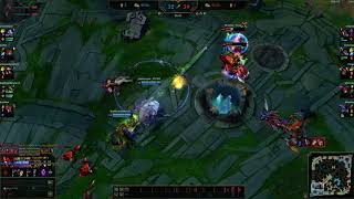 Shen bug