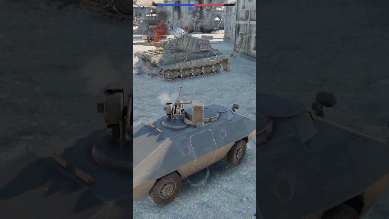 R3 лысеет тигра✂️✂️✂️ 