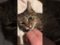 冷静になりましょう