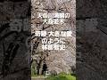 奇跡 大きな愛のように(林部智史) #music #song #love #林部智史 #shorts #shortvideo #short #art #live #lovesong #天の川 #交野市