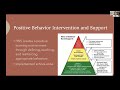 Behavior Support Interventions For Individuals WithDisabilities In Social Sciences Courses