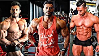 IFBB PRO CLASSIC PHYSIQUE CHAMPION Hany Saeed Workout