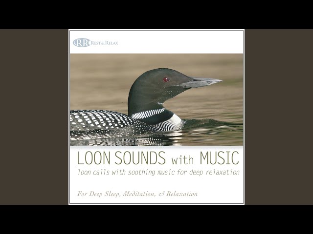 Akim Bliss - Piano Whispers With Loons