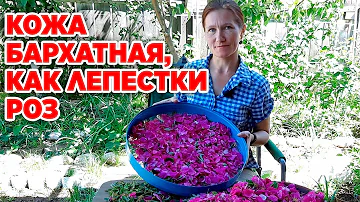 ОМОЛОЖЕНИЕ КОЖИ АРОМА ЧАЙ ИЗ ДИКОЙ РОЗЫ ЗАГОТОВКА ЛЕПЕСТКОВ ШИПОВНИКА