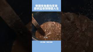 寮國臭魚醬有多臭？廖科溢臭到懷疑人生 @ebcstars