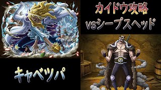 【トレクル/OPTC】/トレジャーマップ/vsシープスヘッド/カイドウ攻略/キャベツパ (秘寶地圖 凱多 VS席浦斯赫德 白馬隊)