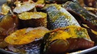 Snakehead Murrel Fish Making Recipe Ll Snakehead Fish Delicious Recipe Curry