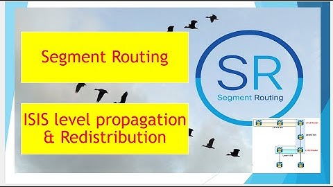 Segment routing | ISIS multilevel & redistribution.