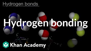 Hydrogen bonds