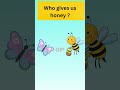 who gives us honey ?