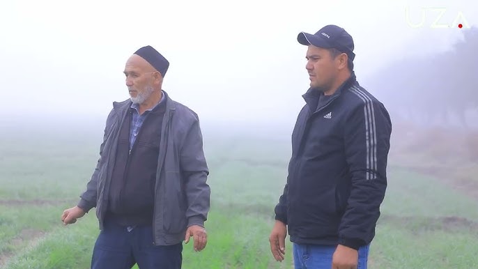 Jiyan xolasining og‘ziga keldi