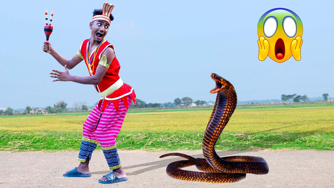 Very Special Trending Snake Comedy Video 2024 😂 Amazing Funny Video ...
