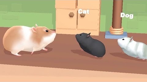 ‎‎Hamster Maze - All Levels Gameplay Android, iOS