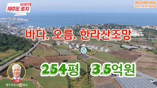 696 | 애월읍 하가리 254평 | 바다. 오름. 한라산조망 | 애월읍사무소 인근 |