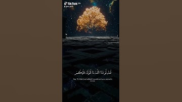 سبحان الله وبحمده سبحان الله العظيم تلاوات القارئ #عبدالرحمن_مسعد