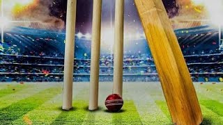 Live Match || Gali Cricket Match || shortsfeed funny shorts cricket