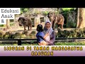 Explore taman margasatwa ragunan dan Pusat primata schmutzer