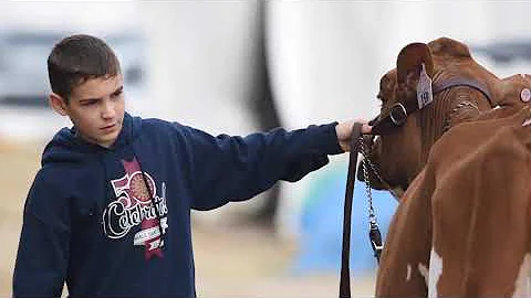 World Dairy Expo - Relive the Expo magic