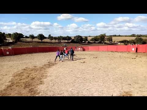 Pega de Mariana Gon&ccedil;alves. Manique do Intendente. Treino GFFB