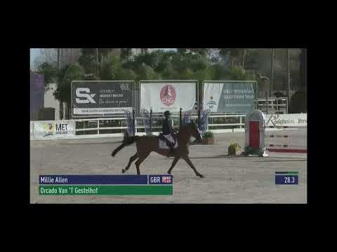 Orcado van ‘t Gestelhof 140 CSI2** Oliva