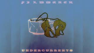 Celebrity FILMMAKER - UNDERCURRENTS [Full Album] Wealth