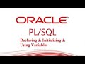 PL/SQL tutorial : PL/SQL Variables in Oracle Database - Part 2