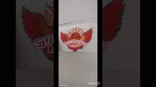 Not good but just tried for SRH fans🏏🦅 #cricket #srh #viral #trending #painting #hyderabad #shorts