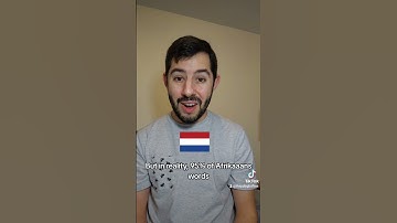 Afrikaans & Dutch are the Same Language! #languages #Afrikaans #Dutch #Linguistics