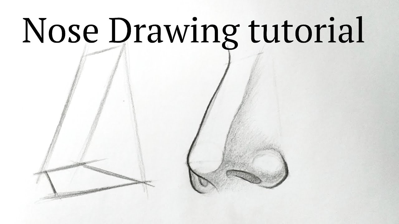 female nose drawing side view