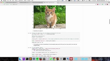 Neural Network Framework