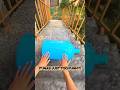 Dropping Bottles &amp; Colorful Jars From Stairs! 😱💥 Crazy Pop Experiment #viral #asmr #fypシ #satisfying