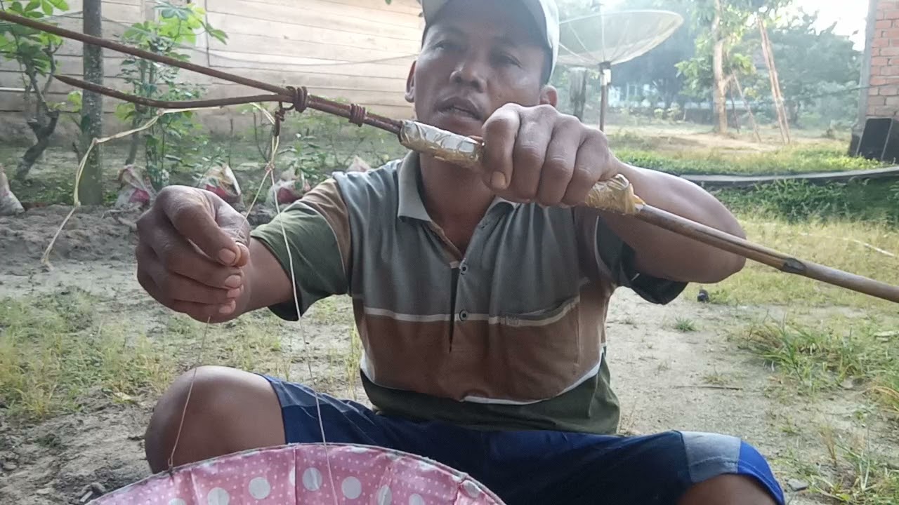 cara membuat alat memanen kroto.