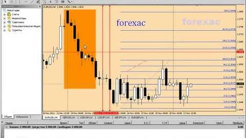 Forex Metatrader4 - начальная инструкция