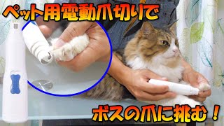 ペット用電動爪切りでボス猫の鋼の爪に挑みました！