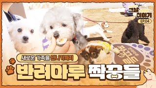 새로운 가족을 만나기까지반려마루 그날 이후의 이야기 EP.04