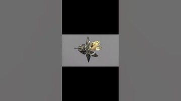 3D MOTION GRAPHICS MIRROR AND GLASS