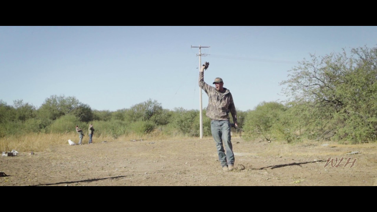 Dove Hunting in Sonora 