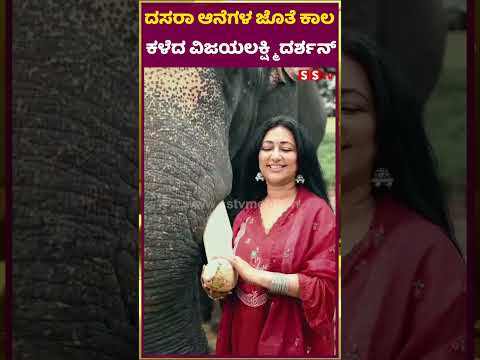ದಸರಾ ಆನೆಗಳ ಜೊತೆ ಕಾಲ ಕಳೆದ ವಿಜಯಲಕ್ಷ್ಮಿ ದರ್ಶನ್ | Vijayalakshmi Darshan | SStv ದಸರಾ ಆನೆಗಳ ಜೊತೆ ಕಾಲ ಕಳೆದ ವಿಜಯಲಕ್ಷ್ಮಿ ದರ್ಶನ್ | Vijayalakshmi Darshan | SStv