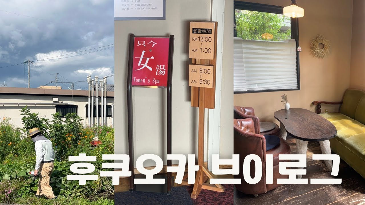 🌋후쿠오카 브이로그(Fukuoka Vlog)| 아소산, 아카우시동, 히타 카페, 유후인 온천, 유후다케 4박 5일 큐슈 여행