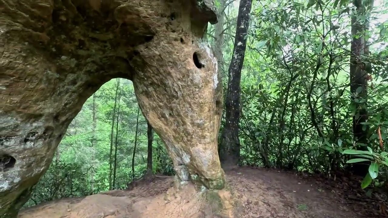 Hiking Angel Windows Trail | Easy Arch Hike in Red River Gorge, KY